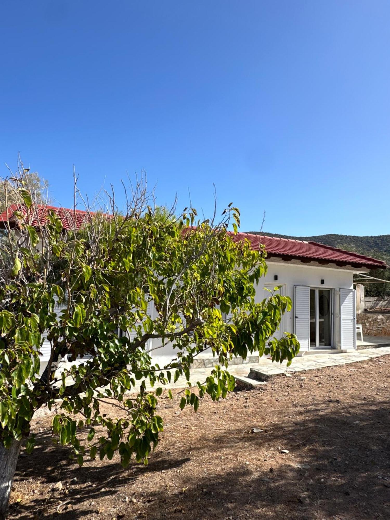 Coast Cottage Porto Rafti-Avlaki Exterior foto